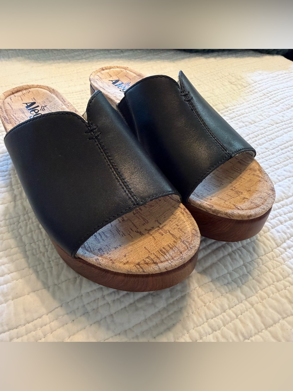 Black Slide Platform Sandals by Alegria